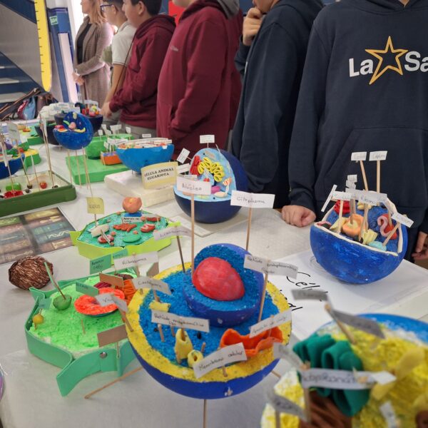 Fomentar la Ciencia en la Escuela: Una Inversión en el Futuro