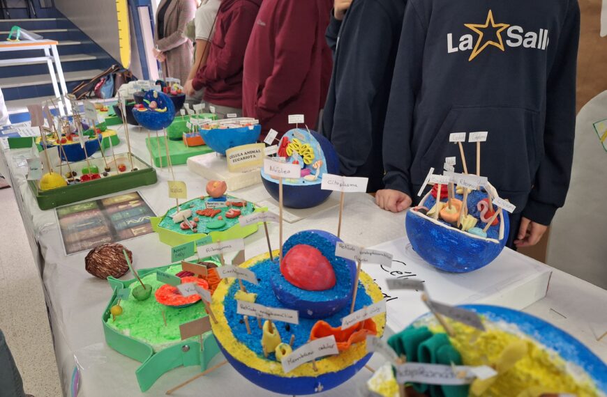 Fomentar la Ciencia en la Escuela: Una Inversión en el Futuro